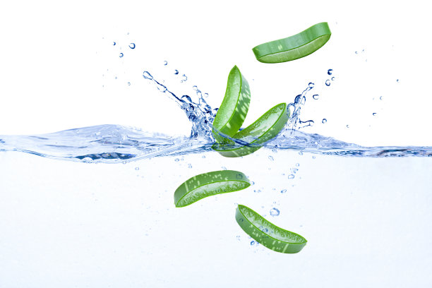 芦荟在水中溅起图片下载