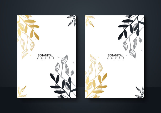 套精美的小册子卡盖黑色和图片下载