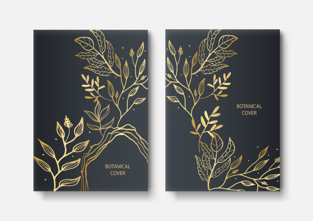 套精美的小册子卡盖黑色和图片下载