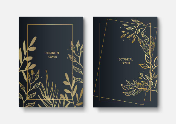 套精美的小册子卡盖黑色和图片下载