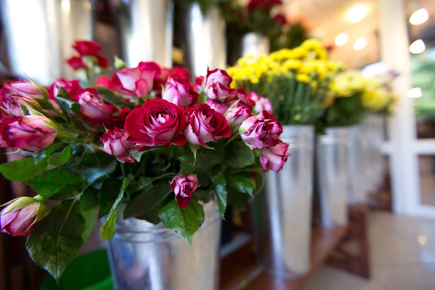 花店里五颜六色的鲜花图片下载