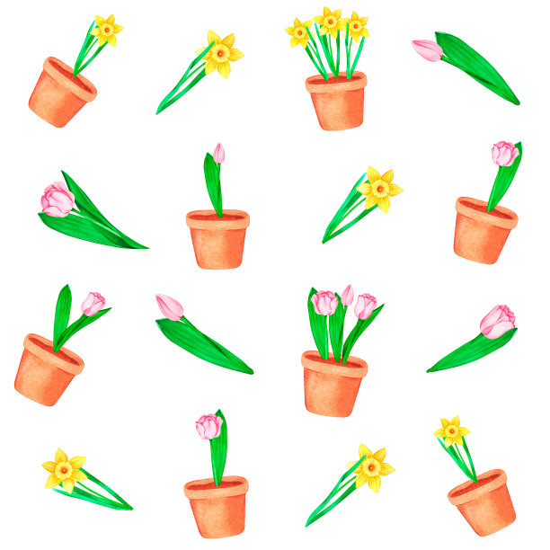 粉红色的郁金香和黄色的水仙花。复活节。无缝模式。水彩的插图。被隔离在白色背景下。为你的设计。图片下载