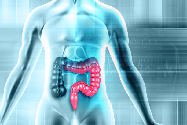 结肠解剖的科学背景。三维演示图片下载