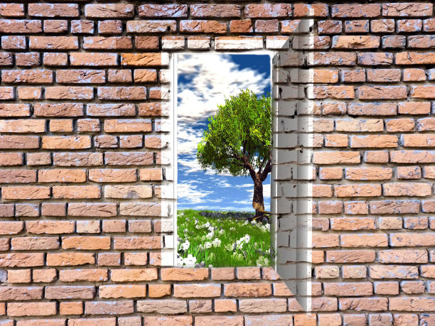 砖墙上的门图片下载