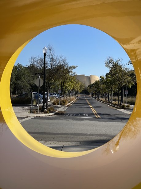 路在金黄色的圆圈里图片下载