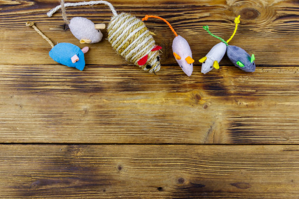 一套老鼠玩具为猫在木制背景。俯视图，复制空间图片下载