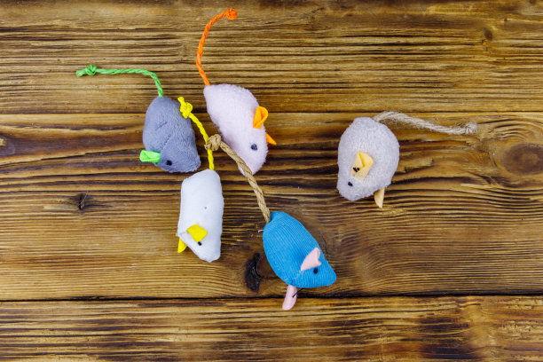 一套老鼠玩具为猫在木制背景。俯视图图片下载