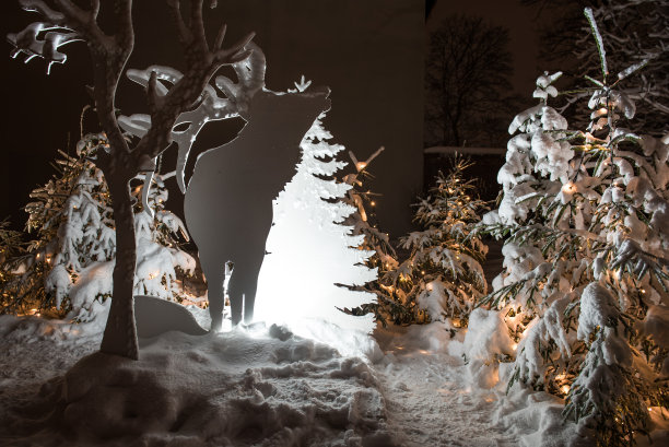 从单板上剪下的白色发光动物和树木——圣诞节夜晚的装饰，拉脱维亚库尔迪加图片下载