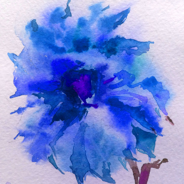 抽象鲜艳的装饰背景。花图案手工制作。美丽、温柔、浪漫的夏日紫苑花束图片下载