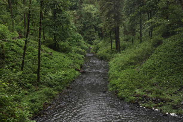 俄勒冈州银瀑布州立公园的典型场景图片下载