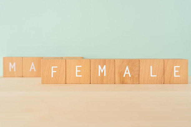 女性;木块带有“FEMALE”文本的概念。图片下载