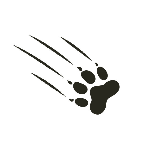 老虎的足迹图片下载