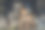 波士顿三一教堂图片下载
