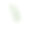 手绘波西米亚绿色叶子。水彩画插图叶子为婚礼装饰和安排。图片下载