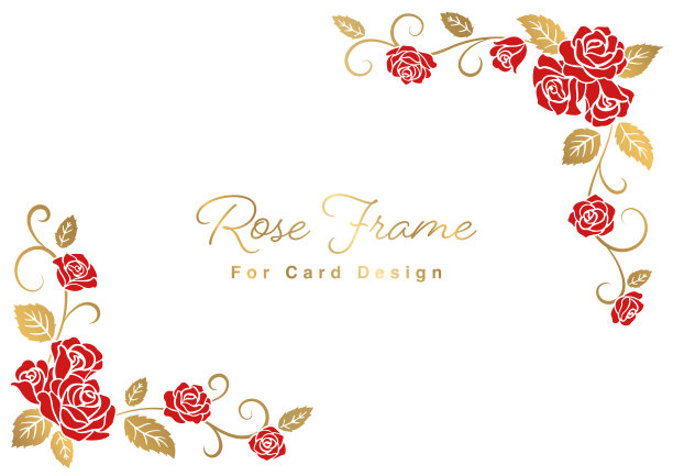 玫瑰插图卡片设计模板图片下载