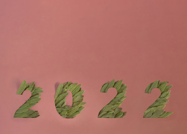 圣诞和新年的卡片与数字写与真实的常绿植物的叶子在暗粉红色的背景上复制空间。高分辨率平面设计照片。图片下载