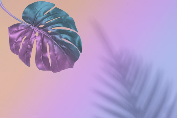 热带的叶子，鲜艳的粉红色和蓝色图片下载