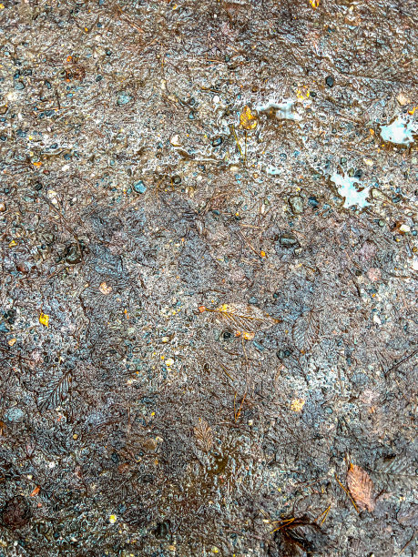 潮湿的土壤作为背景或纹理。图片下载