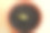 一步一步地说明如何从一粒种子开始种植芒果:第8步——种一粒种子，然后用3/4高度的土壤覆盖它。图片下载