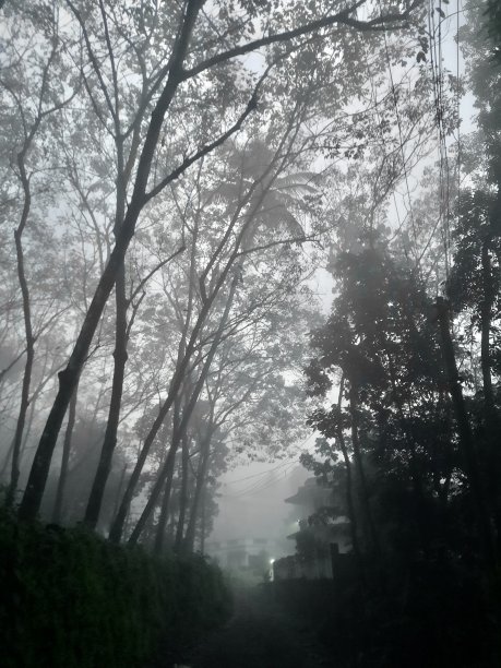 雾蒙蒙的早晨，阳光明媚图片下载