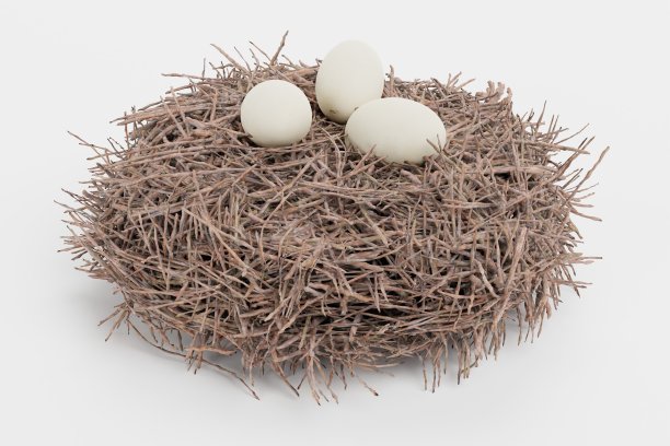 鹳巢的现实3D渲染图片下载