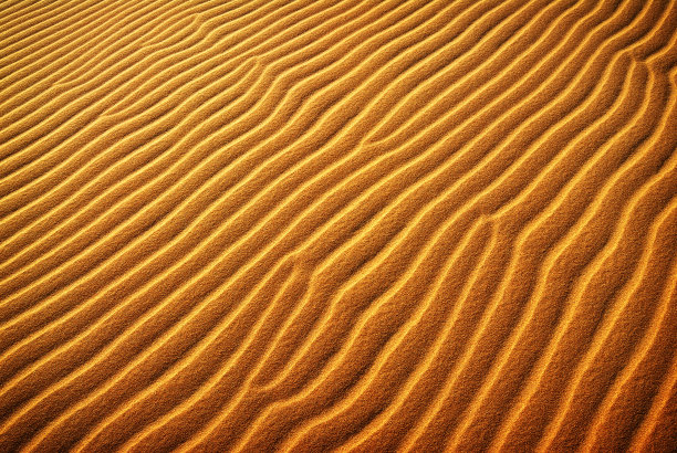 金沙丘结构图片下载