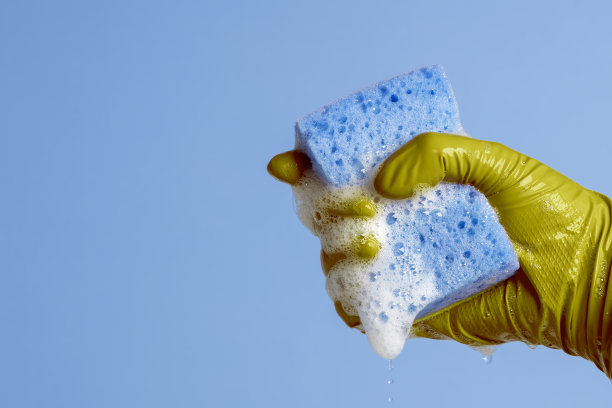 手拿清洁海绵和肥皂图片下载