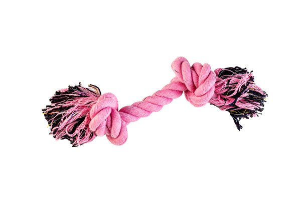 亮粉色的狗软材料编织绳玩具小狗游戏孤立在白色的背景图片下载