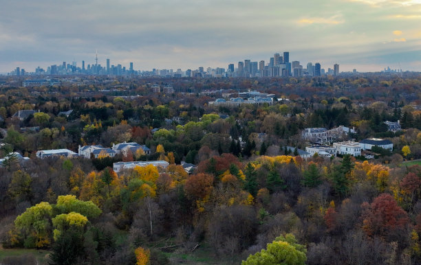 多伦多在秋天图片下载