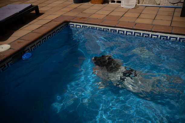 女人在水池里享受她的假期图片下载