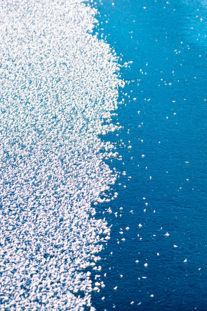 结冰的湖面图片下载