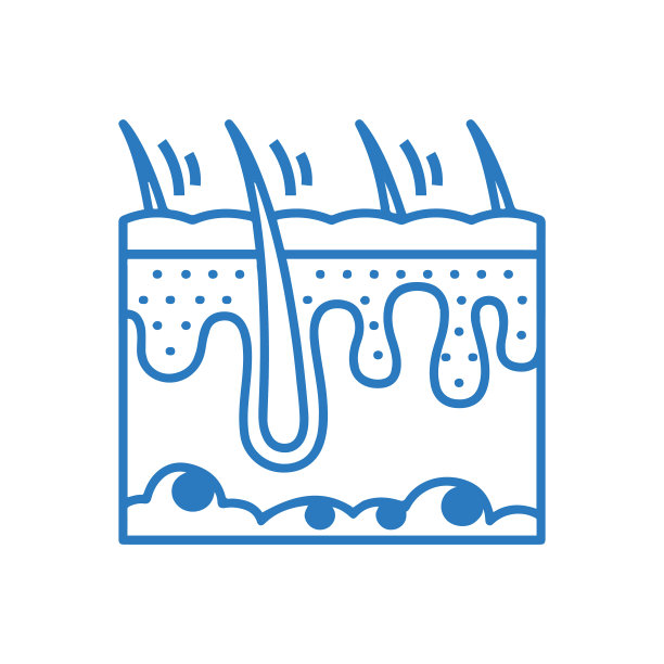 解剖皮肤科或头发皮肤图标图片下载