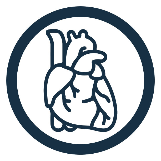 解剖学，心脏病学或心脏器官图标图片下载