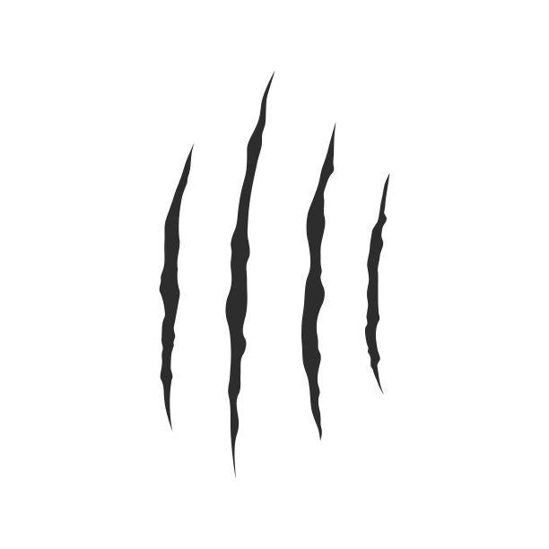 抓爪图标。详细的抓爪印t恤，横幅，标志设计。白色背景上孤立的动物爪子的黑色划痕。矢量图图片下载