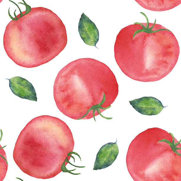 水彩无缝图案成熟红番茄与树枝和绿色的叶子。手绘插图在白色背景。剪贴艺术为健康食品的有机设计，完美的横幅，印刷，包装。图片下载