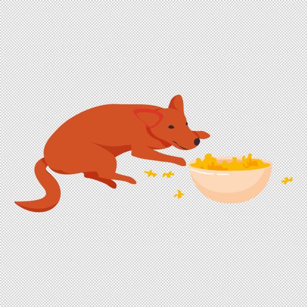 狗趴着狗盆狗粮图片下载