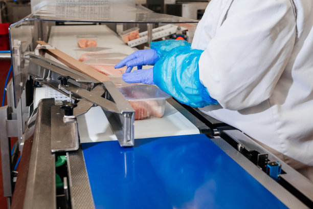 肉类加工厂。肉类工厂的工业设备。现代化的家禽加工厂。在养鸡场工作的人们-库存照片。现代化食品厂的自动化生产线。图片下载