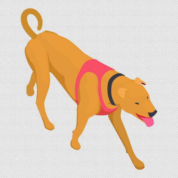 狗动物宠物伙伴图片下载