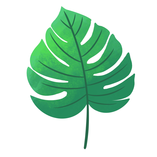 水彩插画树叶图片下载