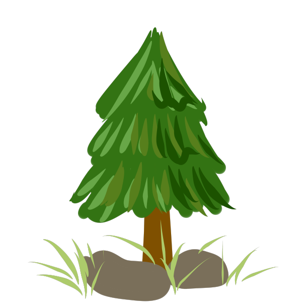 大树绿色植物石头图片下载