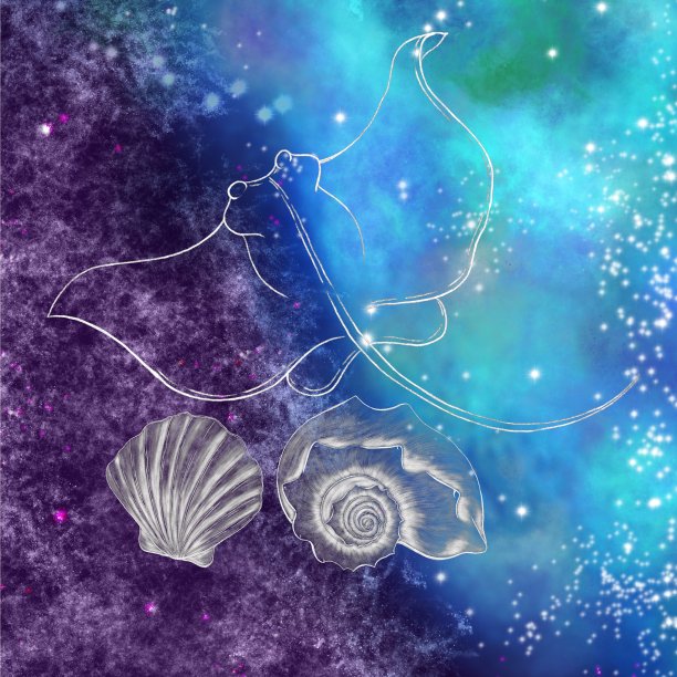 轮廓，闪亮，银色插图黄貂鱼和蛤壳的背景下星空图片下载