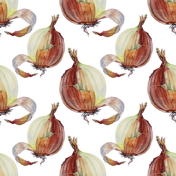 无缝图案水彩未剥皮洋葱孤立在白色背景。维生素金棕色蔬菜为健康。手绘辛辣食物汤沙拉，烹饪书菜单咖啡馆。贴纸墙纸艺术图片下载