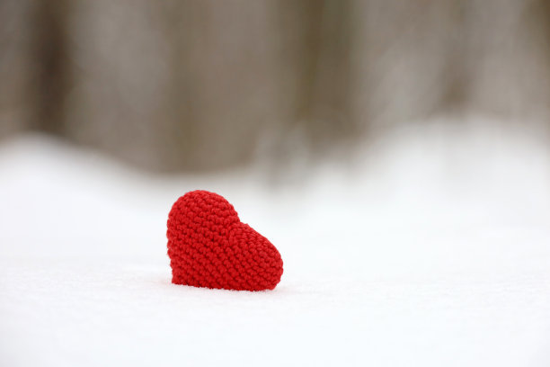 在冬天森林里的雪里编织红心图片下载