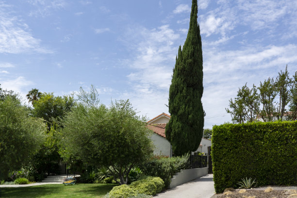 在洛杉矶，房屋前院用树木、植物和树篱进行景观美化图片下载