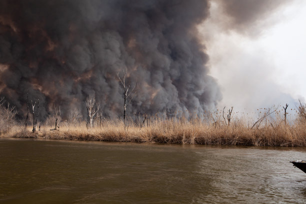 河岸上的大火。从水。大火无情地摧毁动植物图片下载