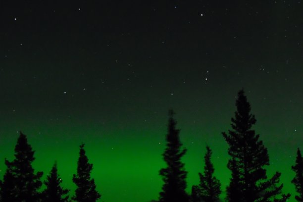 夜空与极光背后的森林树图片下载