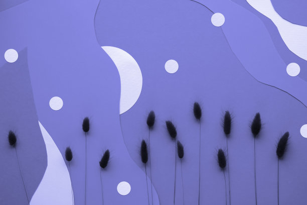 紫色非常近单色抽象纸背景与干燥兔尾草和自然有机纸形状图片下载