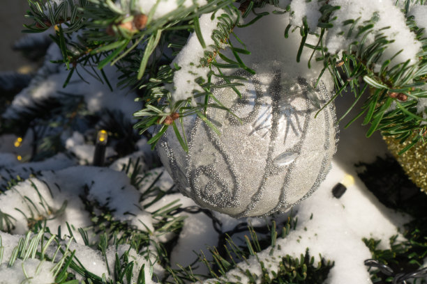 美丽的圣诞树上点缀着雪花，近了。图片下载