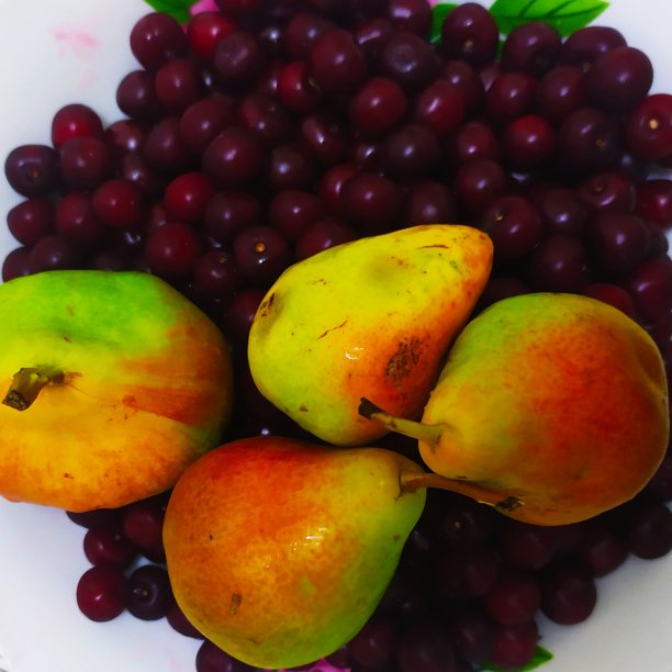 梨和樱桃图片下载