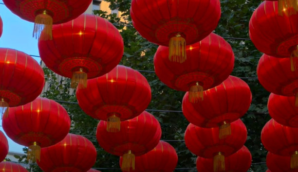 美丽decoratives图片下载